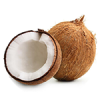MINIATURA COCO
