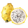 MINIATURA PITAHAYA